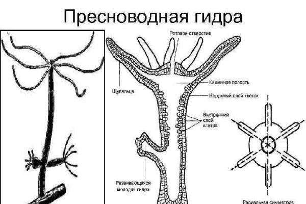 Кракен соль