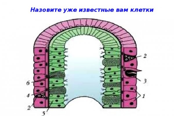 Кракен официальный сайт krakens13 at