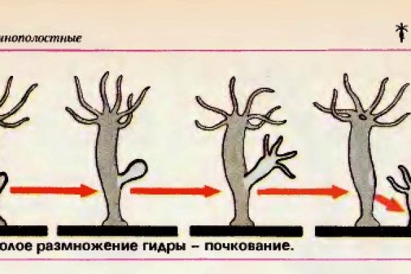 Кракен онион