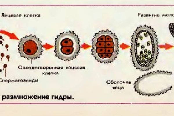 Кракен дарк ссылка