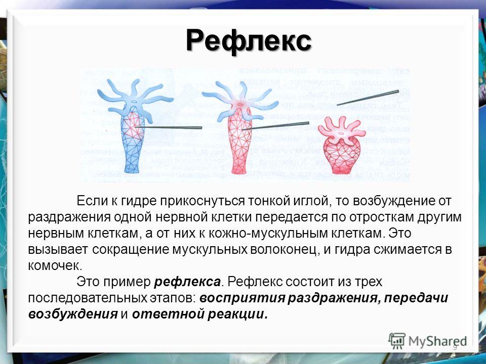 Кракен маркетплейс про